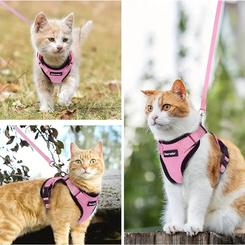 Safe & Comfortable Cat Harness + Leash