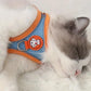 Safe & Comfortable Cat Harness + Leash