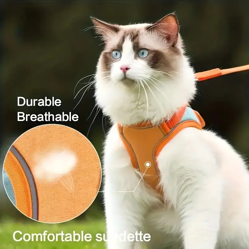 Safe & Comfortable Cat Harness + Leash