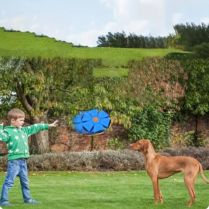 Bouncy Deformed Flying Saucer Ball