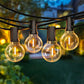 Rechargeable Hanging LED Light Bulbs