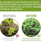 Plants Growth Enhancer Spray