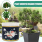 Plant Growth Organic Powder (Pack of 2)