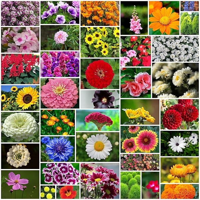 Colorful Garden Blooms 100 Varieties of Flower Seeds 💐