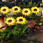 Sunflower Outdoor Solar LED Lights (Pack Of 2)