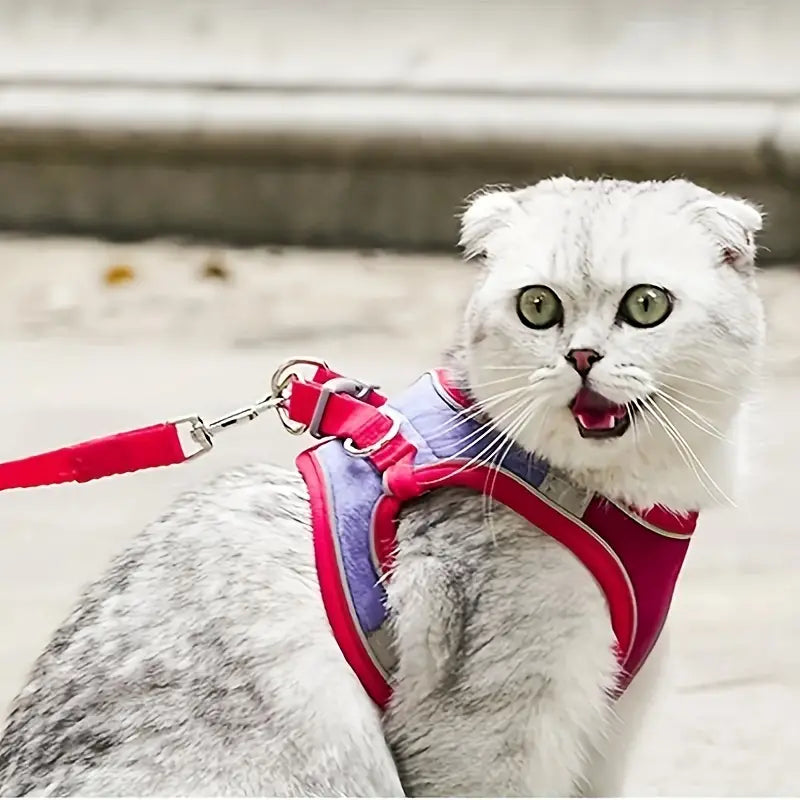 Safe & Comfortable Cat Harness + Leash