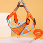 Safe & Comfortable Cat Harness + Leash