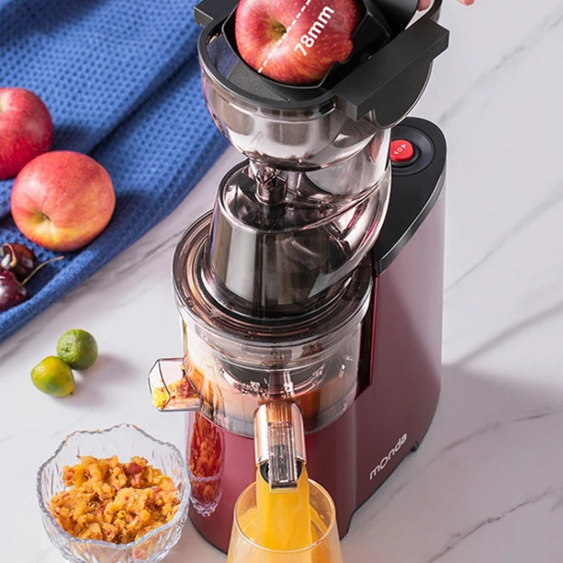 Multifunctional Food processor