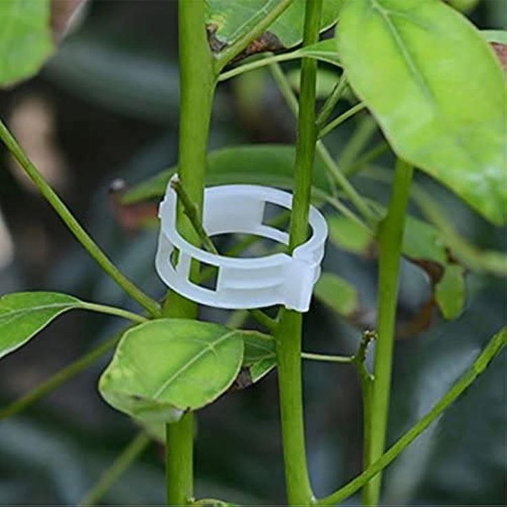 High Quality Plant Support Clips