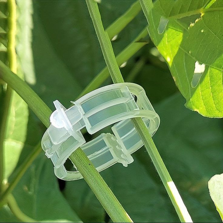 High Quality Plant Support Clips