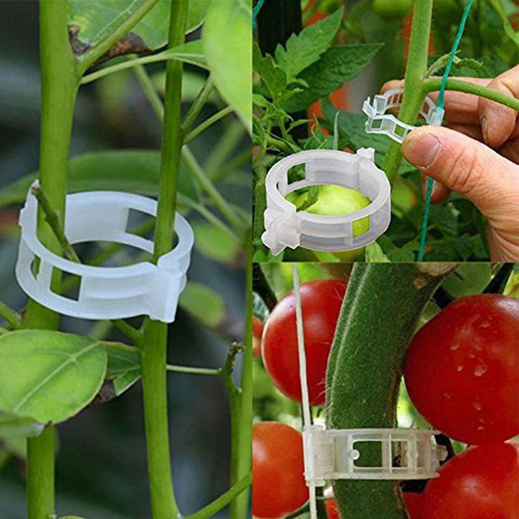 High Quality Plant Support Clips