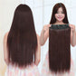 Natural Straight Hair Extensions (24 inch)