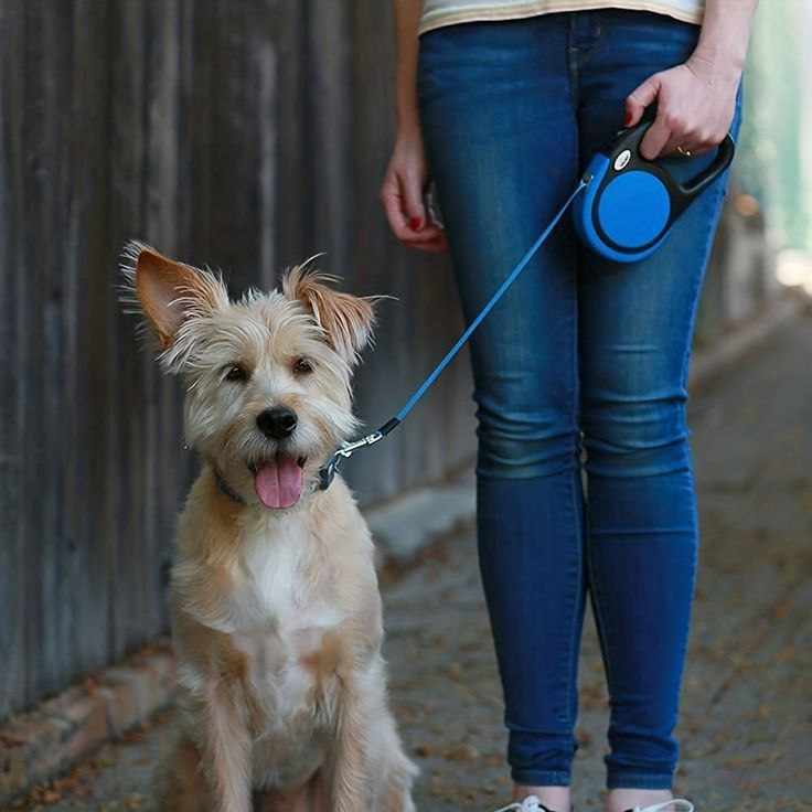 Big Adjustable Dog Leash