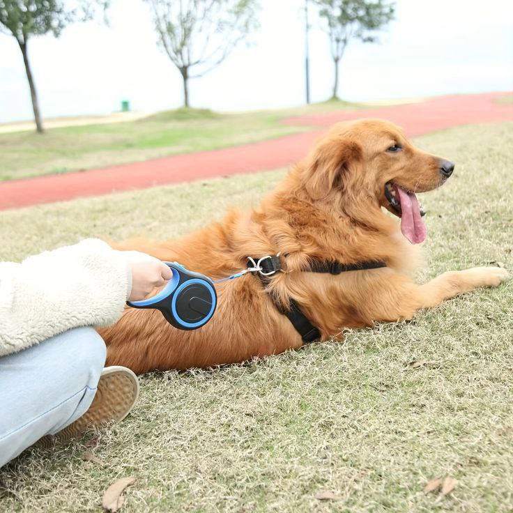 Big Adjustable Dog Leash