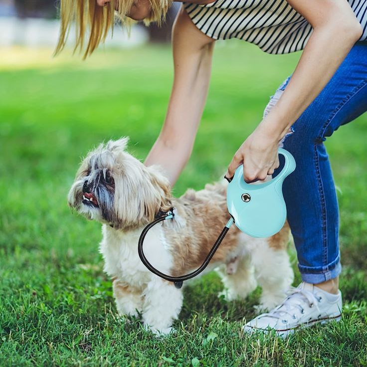 Big Adjustable Dog Leash