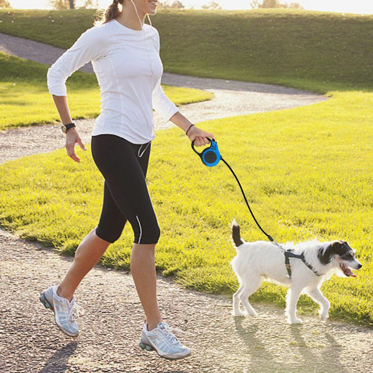 Big Adjustable Dog Leash