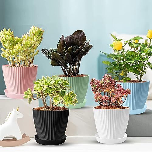 Premium Round Flower Pot + Trays Saucer